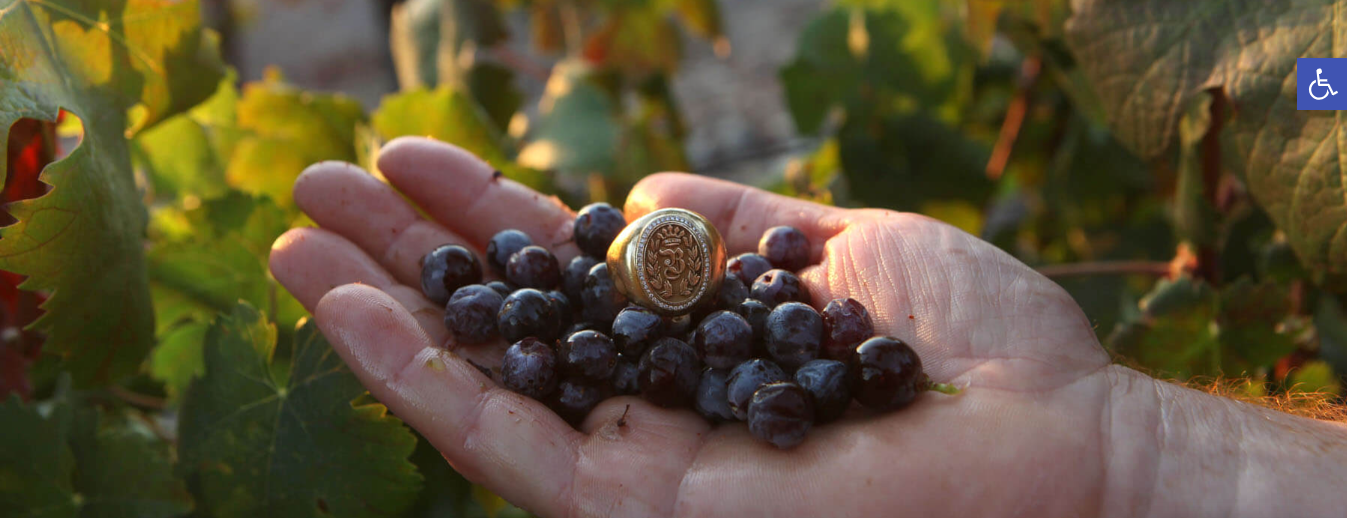 Benhaim Winery