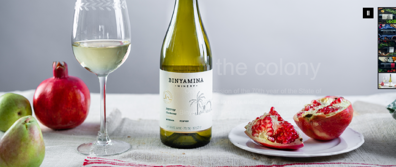 Binyamina Winery