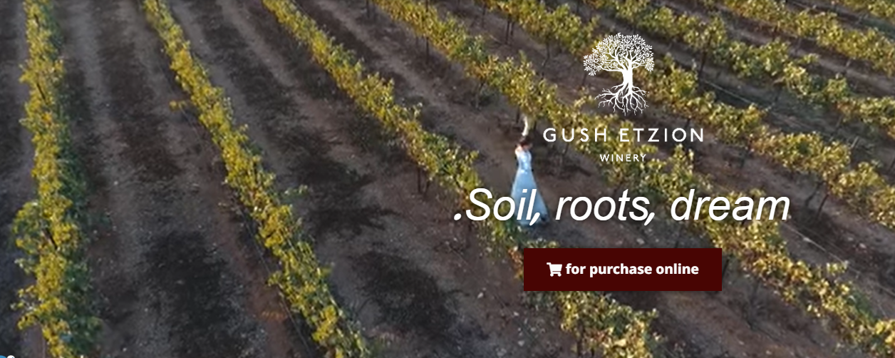 gush-etzion-winery-visit-taste-explore-vineisrael
