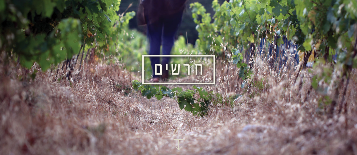 Harashim Winery