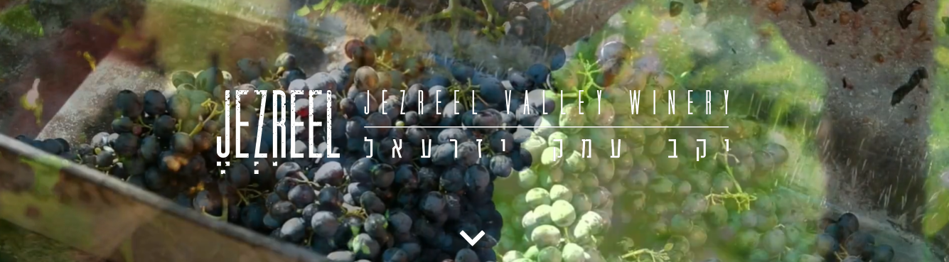 Jezreel Valley Winery