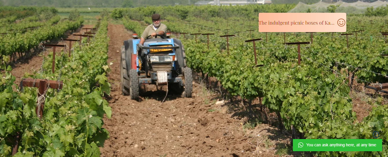 Kahanov Vineyards
