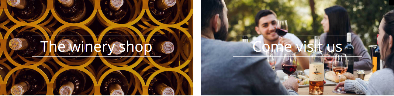 Netofa Winery