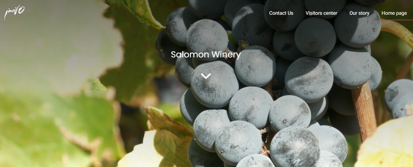 Salomon Winery