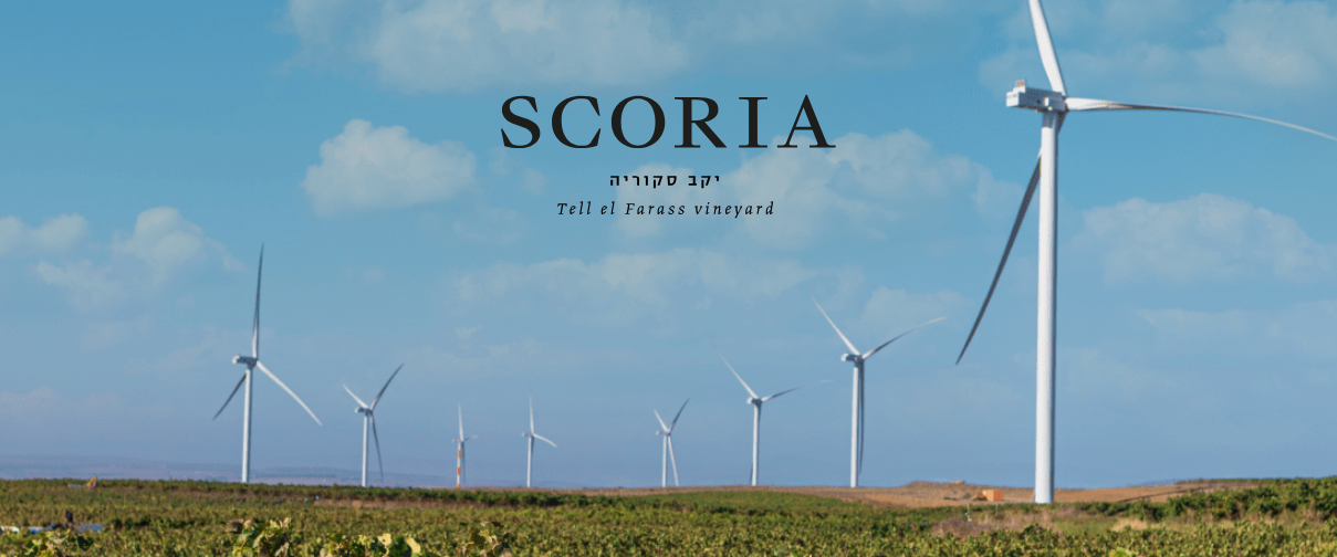 Scoria Winery
