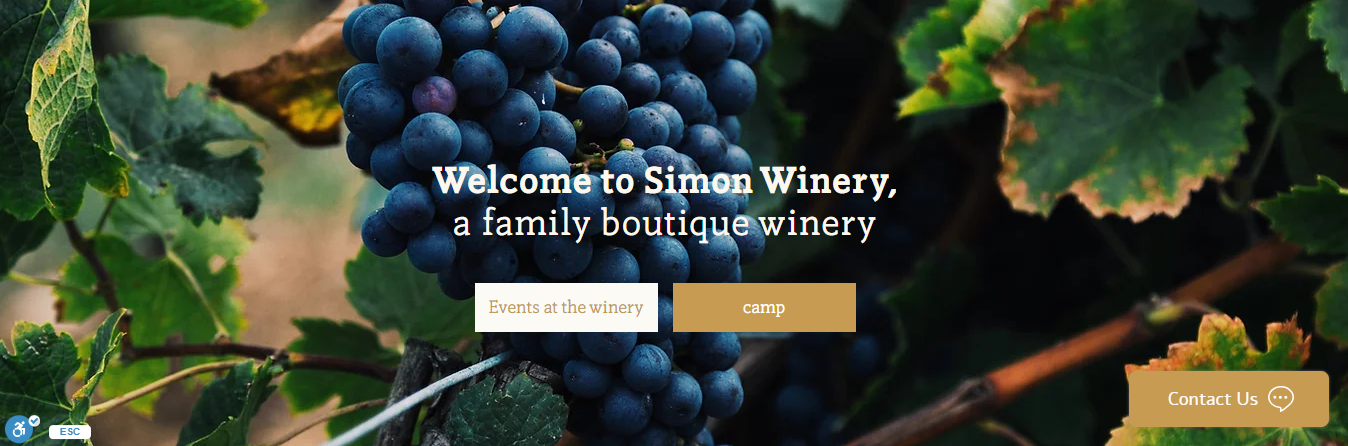 Simon Winery