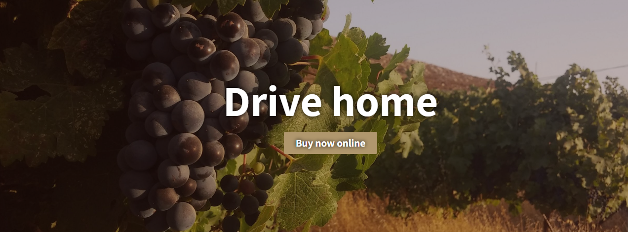 Tanya Winery
