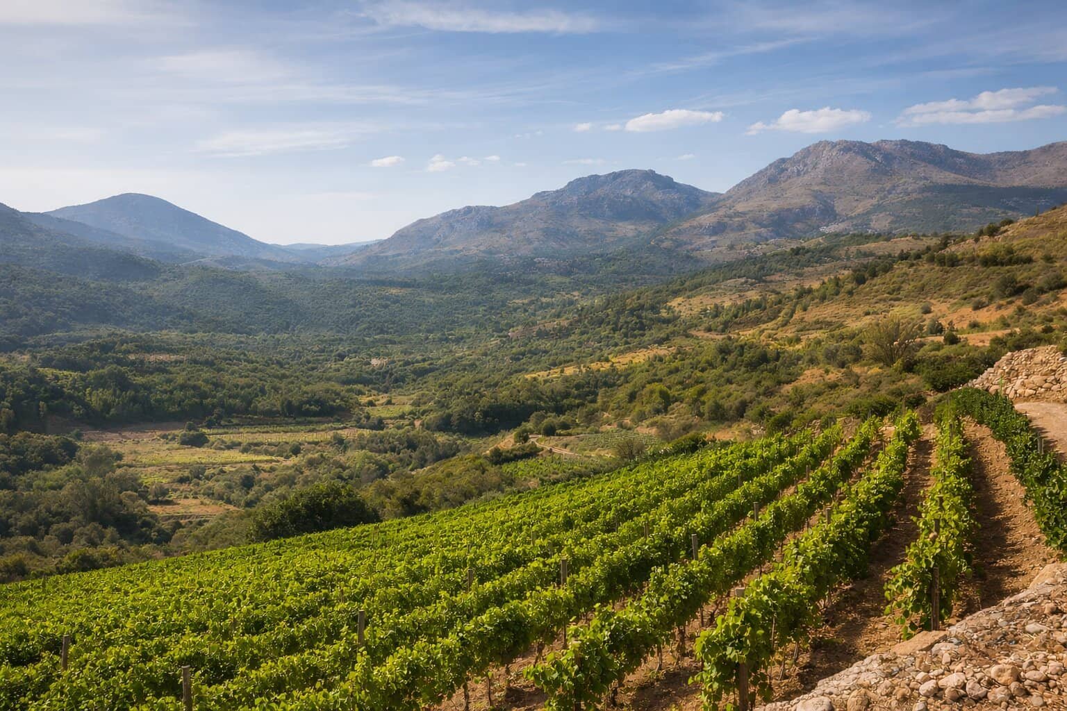 How Israeli Terroirs Compete with Europe’s Best