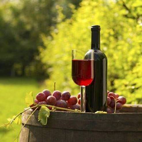 Nahal Amud Winery winery