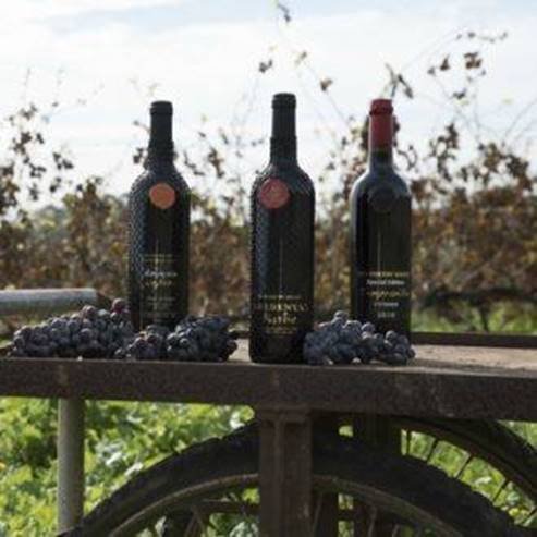 Red Poetry Winery winery