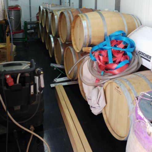 Red Sea Winery winery