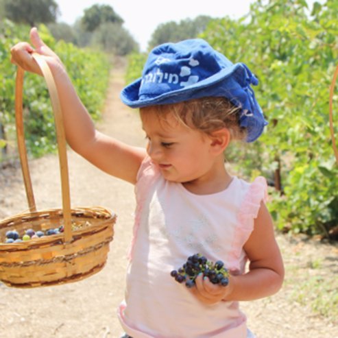 Yiftah’el Winery winery