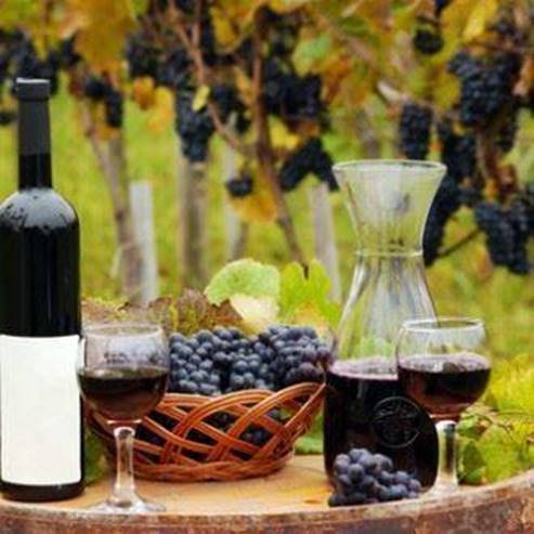 Chateau Golan Winery winery