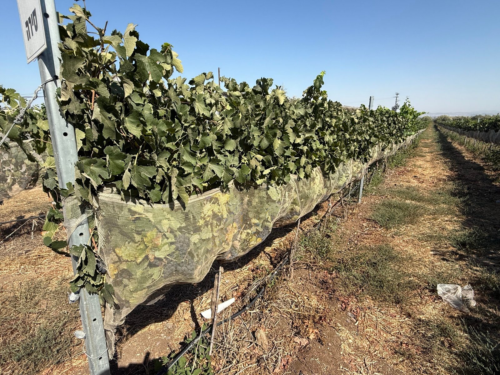 Kerem Montefiore Winery winery