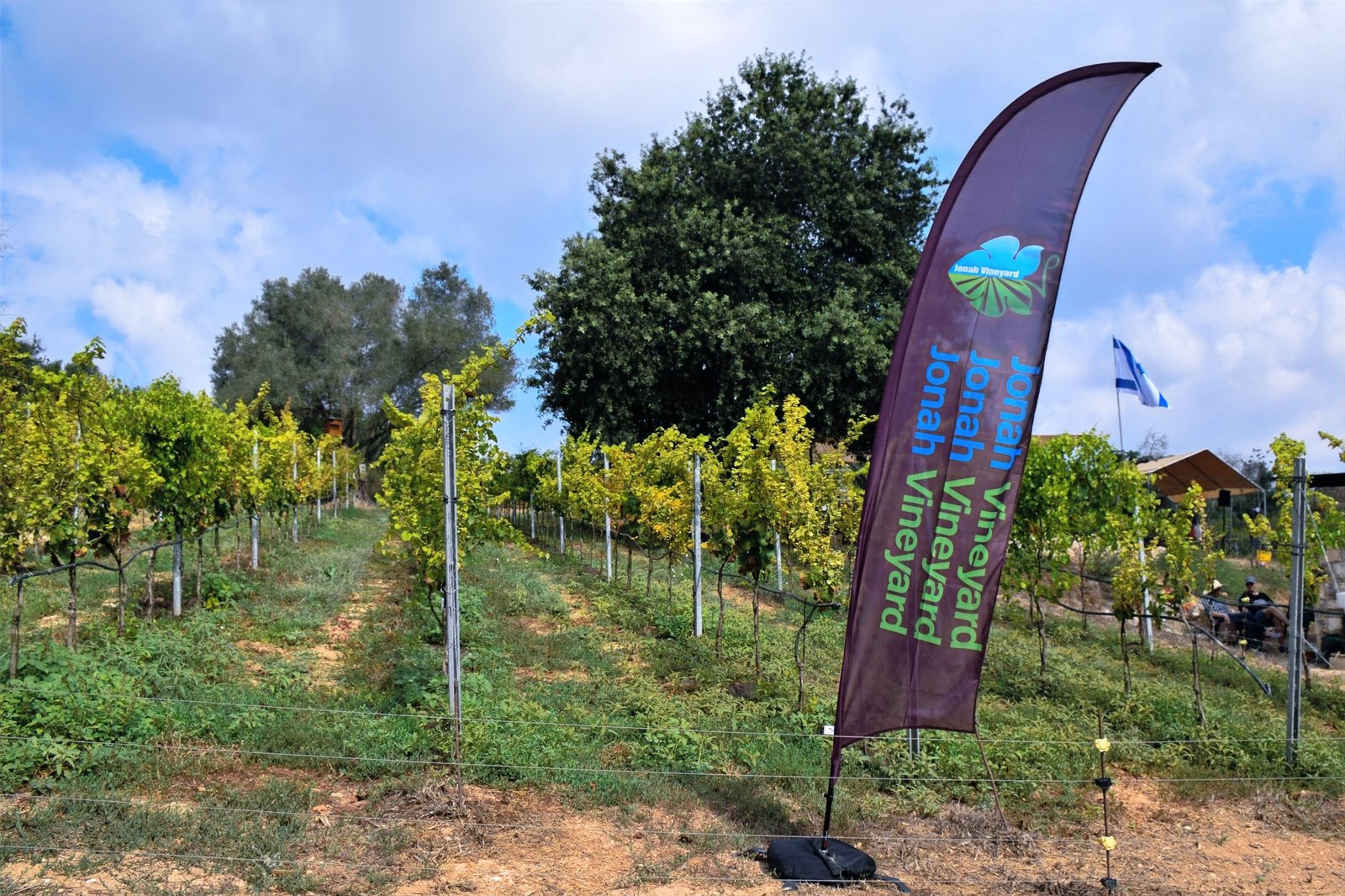 Jonah Vineyard winery