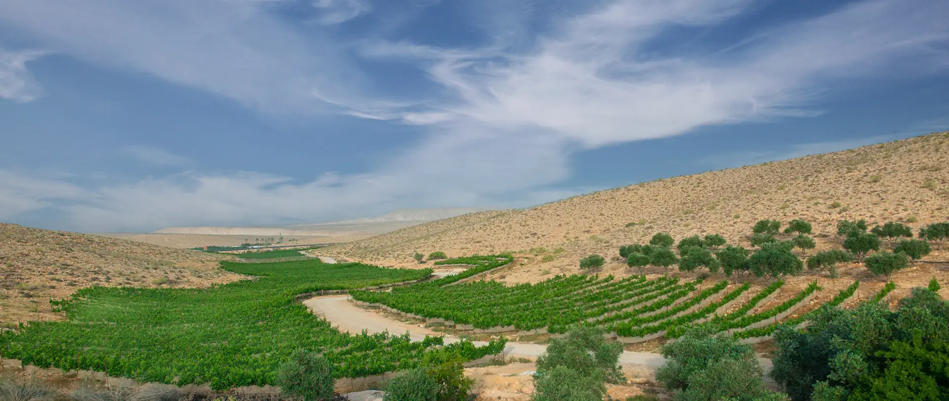 Carmey Avdat Farm & Winery winery