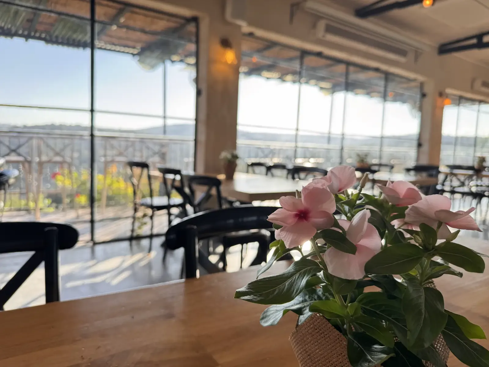 The tasting room at Ulu Winery, Givat Yeshayahu, looking out over the Judean Hills